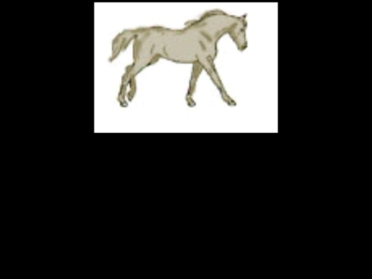 horse screenshot