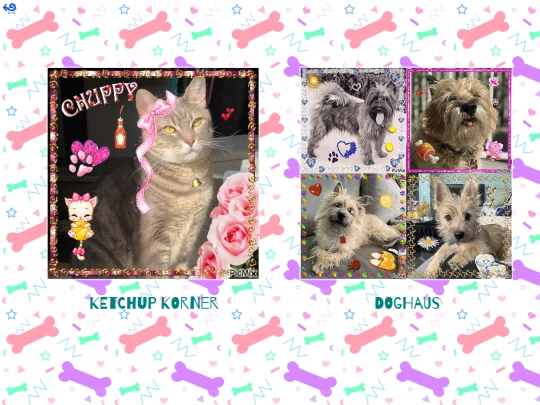 extra/pets screenshot