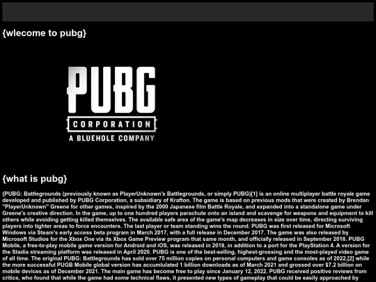 what is pubg screenshot