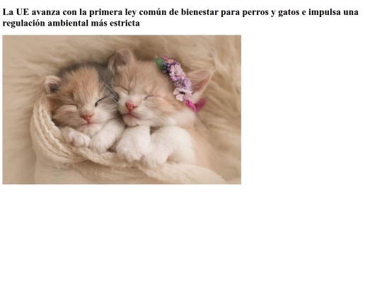 noticia2 screenshot