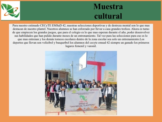 muestra screenshot