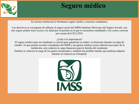 seguro screenshot