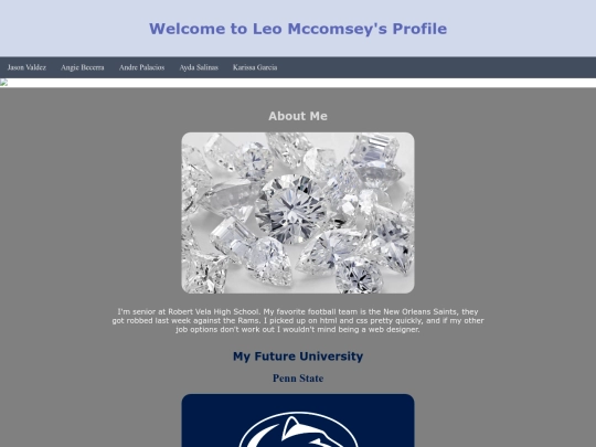 profile screenshot