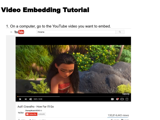 video embed/videoembed screenshot
