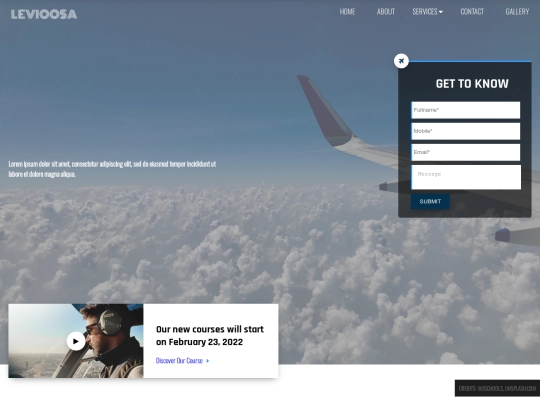 00001ALLHTMLFILES/001CodeShoonyaFiles/aviation screenshot