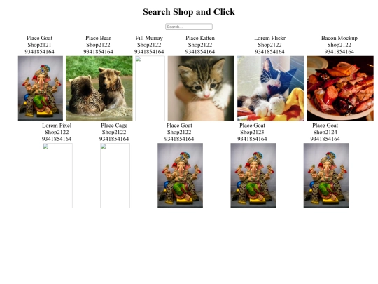 1MNG/SHOP2121/MASTERFOLDER/search screenshot
