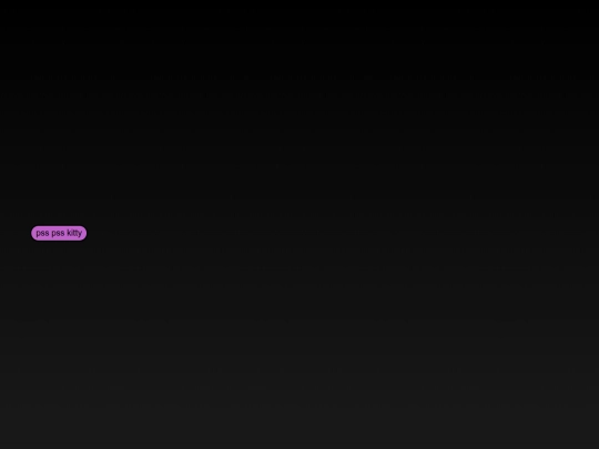 cat screenshot