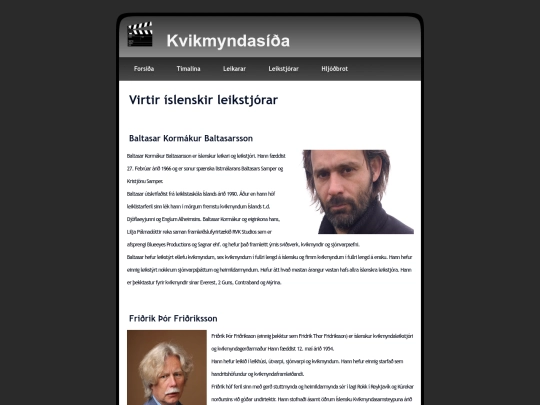 leikstjorar screenshot