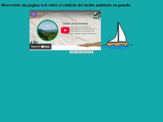 video screenshot