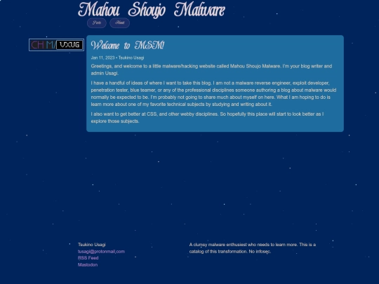 this.site/2023/01/11/welcome-to-msm screenshot