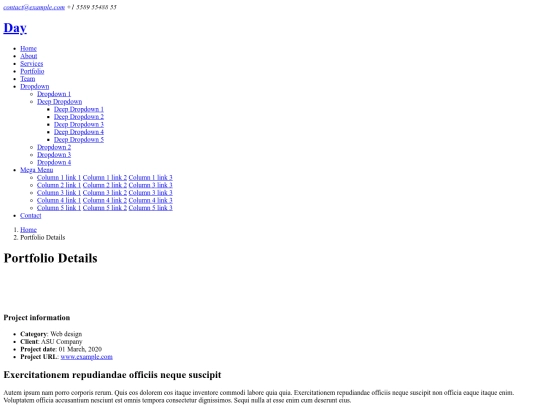 portfolio-details screenshot