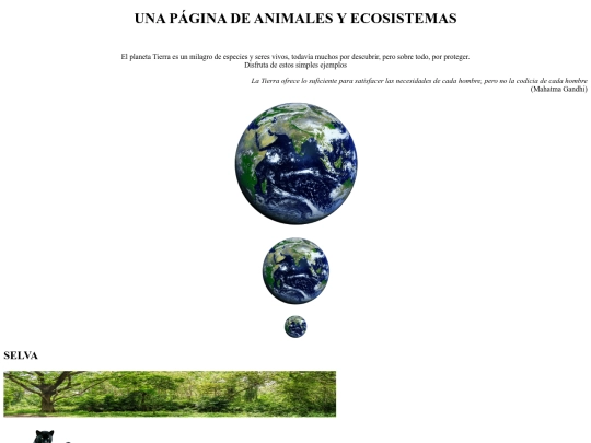HTML/Practica5 screenshot