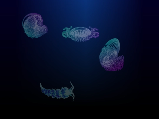 jellyfish screenshot