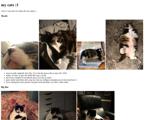 about/cats screenshot