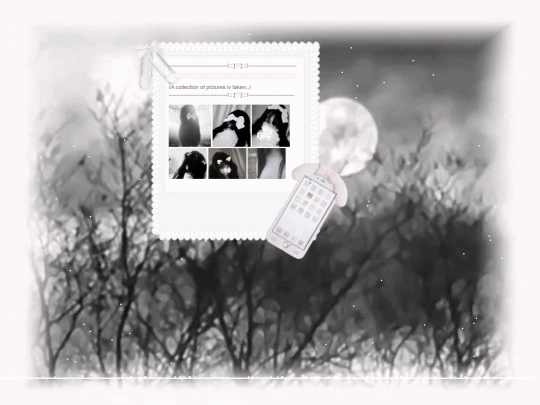 pictures screenshot
