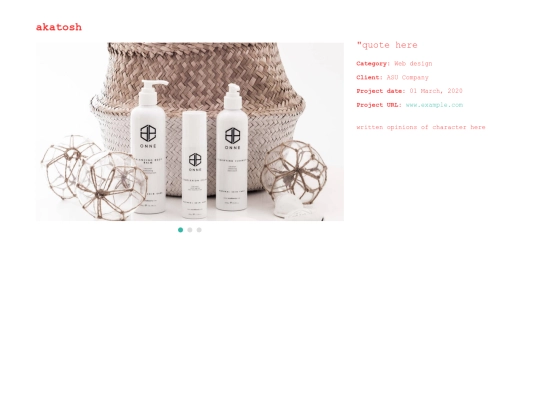 portfolio-details screenshot
