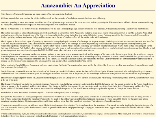 Writings/AmazombieAppreciation screenshot