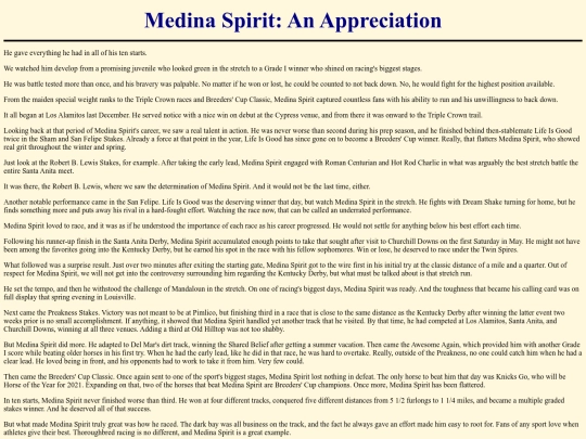 Writings/MedinaSpiritAppreciation screenshot