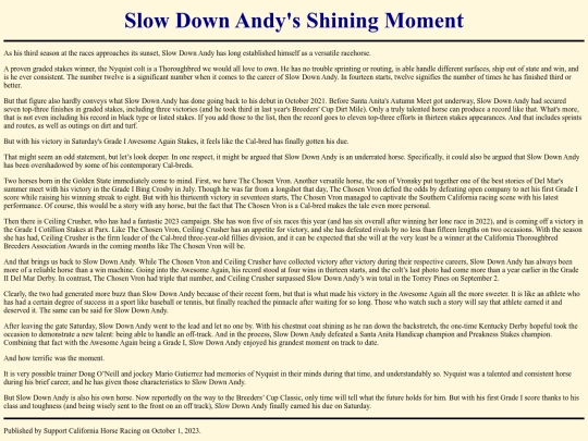 Writings/SlowDownAndyShiningMoment screenshot