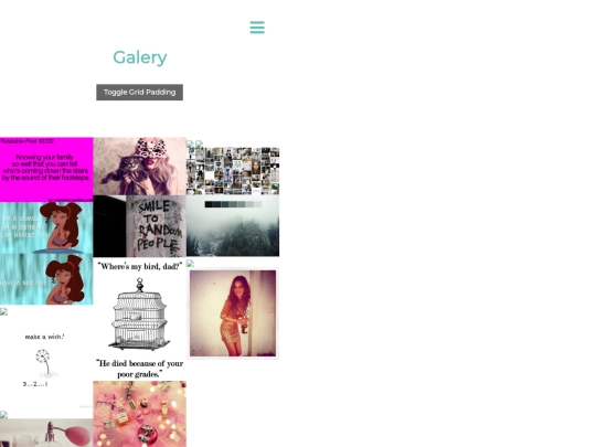Mobile/Galery/Galery screenshot