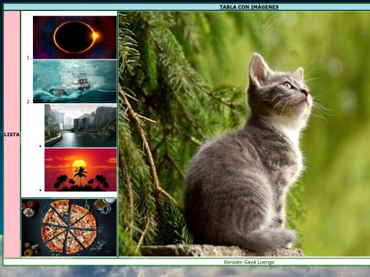 ejemplos/Ejerciciotablaconimagenes screenshot