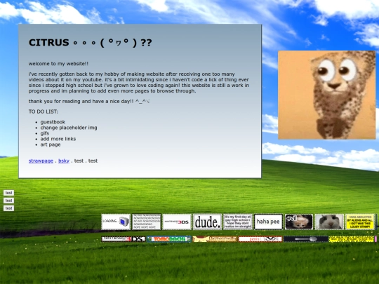 testing screenshot