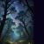 Old Crow's Roost avatar