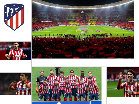 Proyecto final/galeria screenshot
