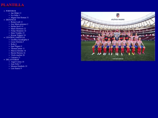 Proyecto final/plantilla screenshot