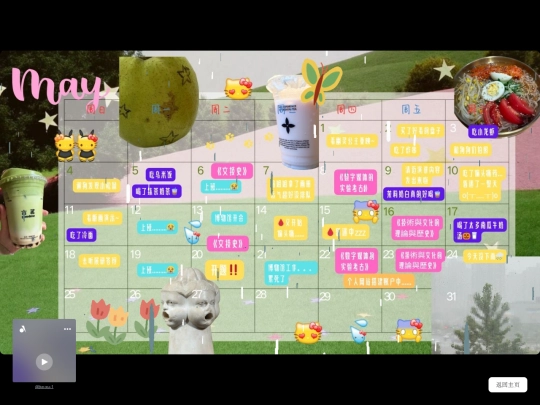 diary screenshot