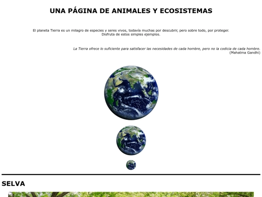 Practica 5/source/practica5 screenshot