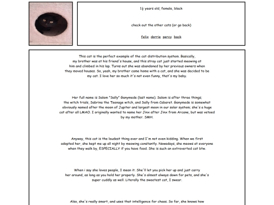 salem screenshot