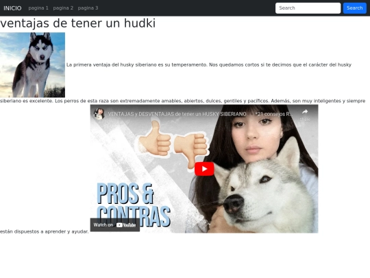 pagina/pagina2 screenshot