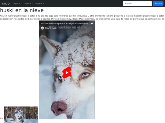 pagina/pagina3 screenshot