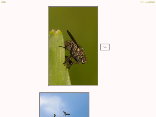 gallery screenshot