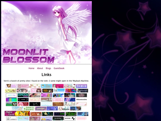 links screenshot