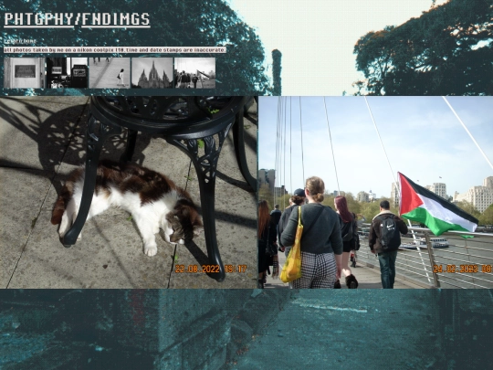gallery3 screenshot