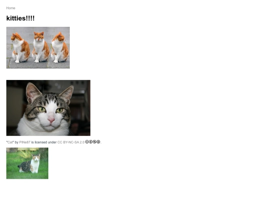 pages/cats screenshot