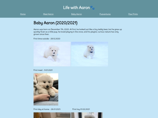 page1 screenshot