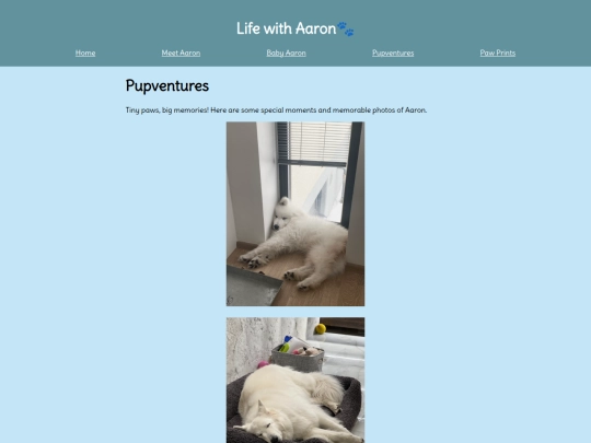 page3 screenshot
