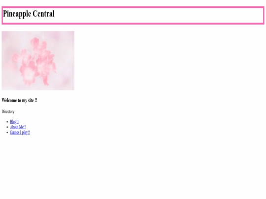 index screenshot