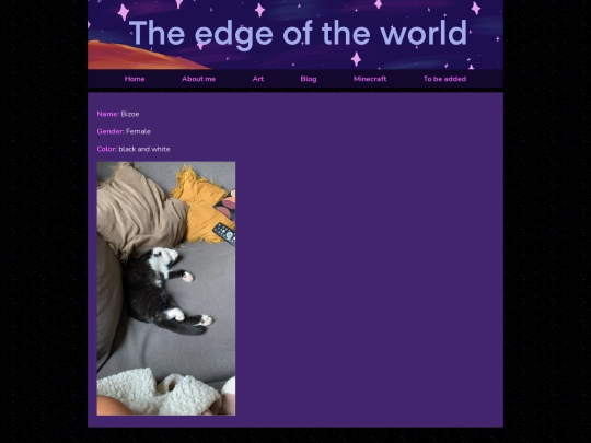 Bizoe screenshot