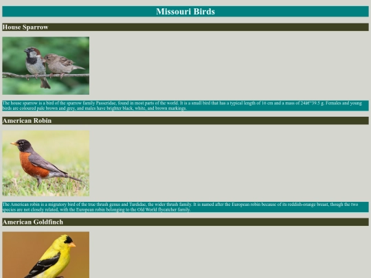 birds screenshot
