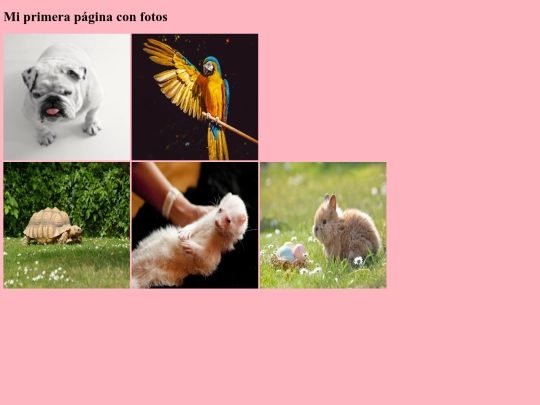 ejemplofoto screenshot