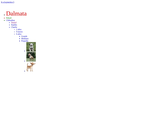 practica1 screenshot