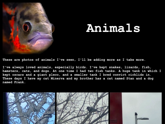 animals screenshot