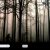 secret-forest.neocities.org avatar