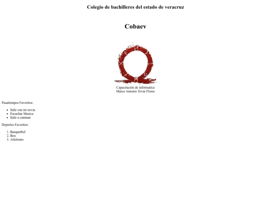 Mipagnaweb screenshot