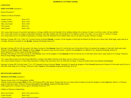 risbridgestrays screenshot