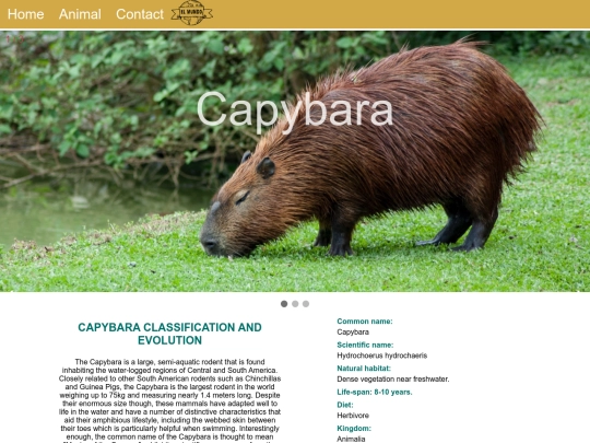 capybara screenshot